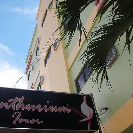 Anthurium Inn Lapu-Lapu City Dış mekan fotoğraf